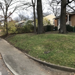 Photo of Greenscapes Lawn Maintenance
