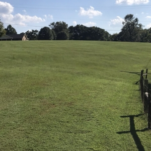Photo of Greenscapes Lawn Maintenance