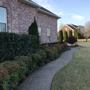 Photo of Greenscapes Lawn Maintenance