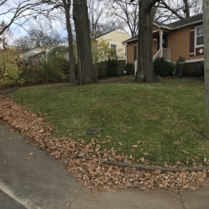 Photo of Greenscapes Lawn Maintenance