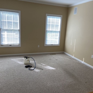 Photo of True Clean of Virginia