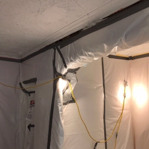 Photo of Big Apple Asbestos Removal
