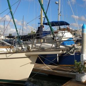 Photo of Baja Bound Mexican Insurance Services