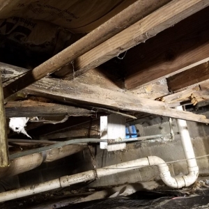 Photo of Handyman in Birmingham
