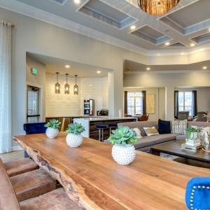 Photo of The Grand Reserve Apartments