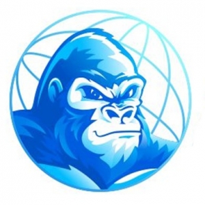 Photo of Gorilla Webtactics
