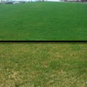 Photo of Your Time Lawn Care