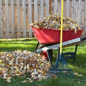 Photo of Your Time Lawn Care