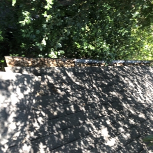 Dallas D2Z Surface Care