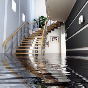 Photo of Fix A Flood - Allied Restoration Network