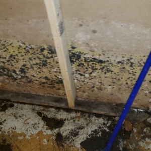 Photo of Strictly Cleaning Restoration