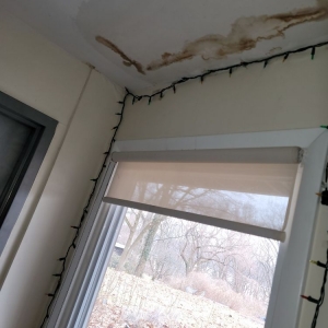 Photo of Strictly Cleaning Restoration