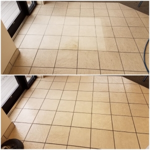 Loveland Koala T Carpet Cleaning