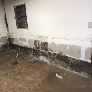 Photo of AJ Property Restoration