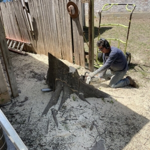 Photo of Neighborhood Lawn Care and Tree Service
