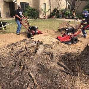 Photo of Neighborhood Lawn Care and Tree Service