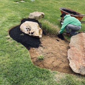 Avondale Outfield Landscaping