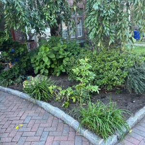 Brooklyn G&C Landscaping