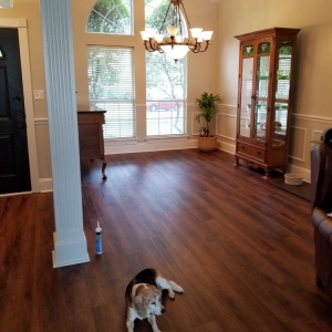 Sachse Ted's Floor and Decor