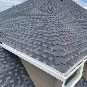Photo of J & J Roofing and Construction