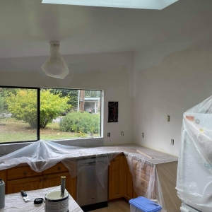 Seattle RD Pro Painter and Drywall