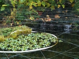 Photo of H & R Irrigation & Landscape