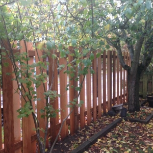 Photo of Seattle Fence Company