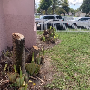 Photo of Castro Gardening