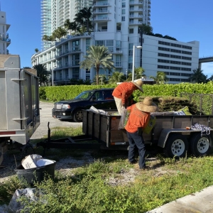 Photo of Castro Gardening