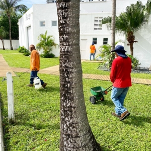 Photo of Castro Gardening