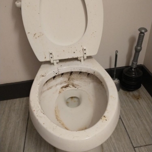 Photo of Done Your Way Cleaning Services