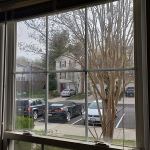 Photo of A 1 Quality Glass and SC
