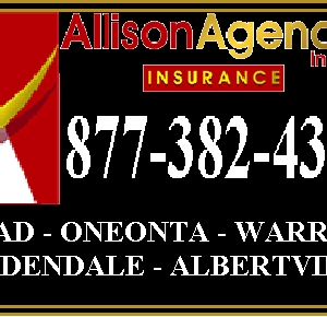 Photo of Allison Agency