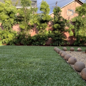 Photo of AJP Landscaping