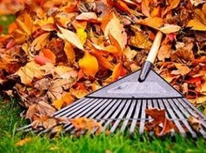 Photo of Joe's Tree Services