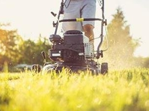 Photo of Joe's Tree Services