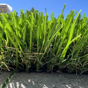 Photo of SD Turf Center