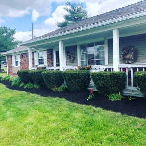 Photo of Infinite Grace Landscaping