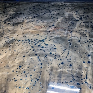 Photo of Colt Epoxy Floors