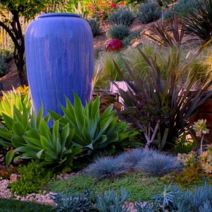 Photo of Traina Thought Landscapes