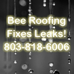 Photo of Bee Roofing
