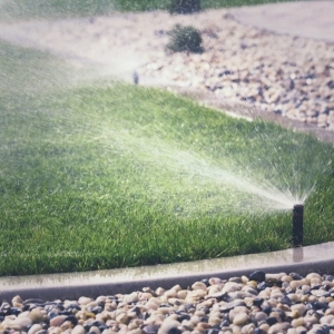Photo of Elite Weed Control