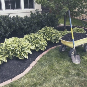 Photo of Elite Weed Control