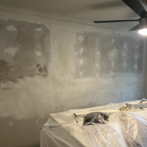 Photo of Proline painting