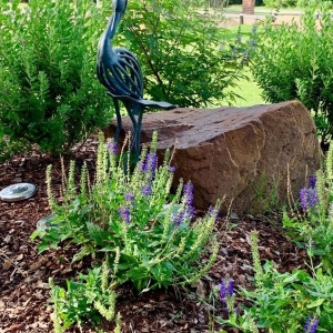 Waxahachie Landscape and Stonework Design by Susanna