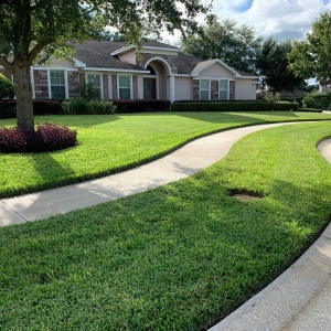 Photo of Regal Scapes of Clermont