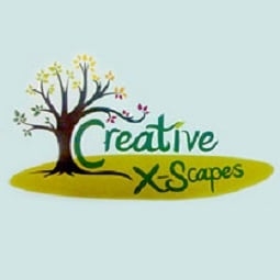 Photo of Creative X-Scapes