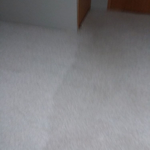 Photo of Advance Carpet Cleaning