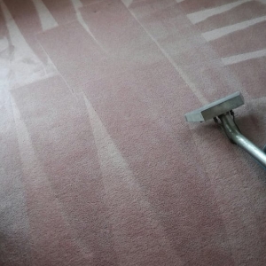 Photo of Advance Carpet Cleaning