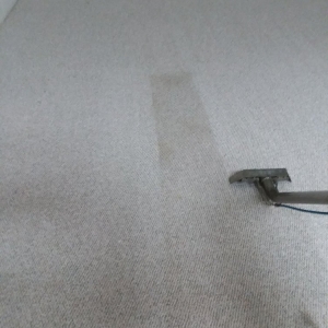 Photo of Advance Carpet Cleaning
